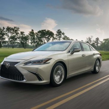 2019 Lexus ES 300h