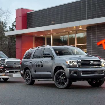 2019 Sequoia TRD Sport