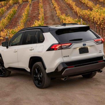 2019 Toyota Rav4 XSE Hybrid